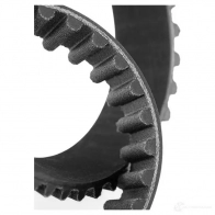 Ремень ГРМ BOSCH 9 471 148 SP 254 358040 1987949471 - Изображение 6