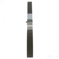 Ремень ГРМ BOSCH 9 509 113 SP 254H 358065 1987949509 - Изображение 4