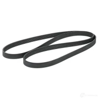 Приводной ремень, поликлиновой BOSCH 6 PK 2080 1987947824 356812 6PK2080 - Изображение 2
