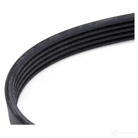 Приводной ремень, поликлиновой BOSCH NPV61AX 5 PK 1720 1987948311 357243 - Изображение 4