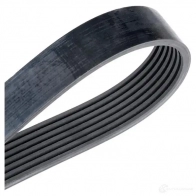 Приводной ремень, поликлиновой BOSCH 357245 7 PK 1637 7 PK 1640 (GAS) 1987948313 - Изображение 7