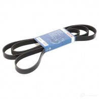 Приводной ремень, поликлиновой BOSCH 6PK2460 6 PK 2460 356954 1987947990 - Изображение 4