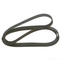 Приводной ремень, поликлиновой BOSCH 356426 F8WVK 8 PK 2045 1987947066 - Изображение 4