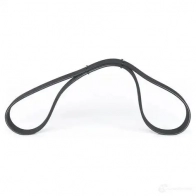 Приводной ремень, поликлиновой BOSCH RHVRQ 356048 7 DPK 1884 1987946213 - Изображение 2