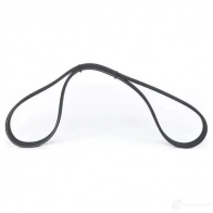Приводной ремень, поликлиновой BOSCH RHVRQ 356048 7 DPK 1884 1987946213 - Изображение 3