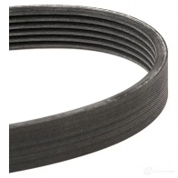 Приводной ремень, поликлиновой BOSCH ADI4WKT 356623 1987947564 6 PK 2498 - Изображение 3