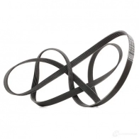 Приводной ремень, поликлиновой BOSCH ADI4WKT 356623 1987947564 6 PK 2498 - Изображение 4