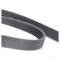 Приводной ремень, поликлиновой BOSCH LYK9OZY 357341 6 PK 2257 1987948495 - Изображение 4