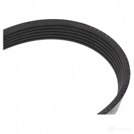 Приводной ремень, поликлиновой BOSCH 6 PK 1900 1987947955 356930 6PK1900 - Изображение 2