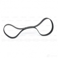 Приводной ремень, поликлиновой BOSCH LFK5M8 1987946266 356087 8 PK 1225 - Изображение 3