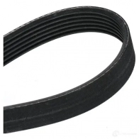 Приводной ремень, поликлиновой BOSCH 356946 1987947981 6 PK 1750 6PK1750 - Изображение 3