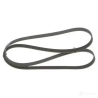 Приводной ремень, поликлиновой BOSCH 356946 1987947981 6 PK 1750 6PK1750 - Изображение 7
