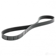 Приводной ремень, поликлиновой BOSCH 357332 6 PK 976 1987948486 6PK 975 (HU) - Изображение 2