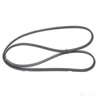 Приводной ремень, поликлиновой BOSCH 4 PK 1090 1987948312 UOJEUR 357244 - Изображение 3