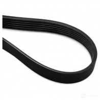 Приводной ремень, поликлиновой BOSCH 356911 6PK894 6 PK 894 1987947935 - Изображение 3