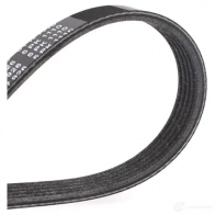 Приводной ремень, поликлиновой BOSCH ZLSWH 356902 1987947926 5 PK 1110 - Изображение 7