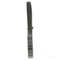 Приводной ремень, поликлиновой BOSCH 5PK900 5 PK 900 357290 1987948398 - Изображение 5
