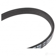Приводной ремень, поликлиновой BOSCH 357269 4PK925 4 PK 925 1987948350 - Изображение 2