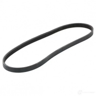Приводной ремень, поликлиновой BOSCH 356872 1987947896 4PK855 4 PK 856 - Изображение 3