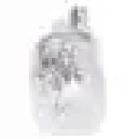 Лампа накаливания W5W LONGLIFE DAYTIME 5 Вт 12 В BOSCH 12V 5W W5W LONGLIFE DAYTIME 1987301052 21e 350031 - Изображение 6
