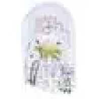 Лампа W3W 3 Вт 12 В BOSCH W3W 350507 1987302818 12V 3W W3W ECO - Изображение 7