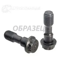 Болт маховика NPS T206A232A Toyota Hilux (AN10, 20, 30) 7 Пикап 3.0 D 4D 4WD (KUN26) 171 л.с. 2005 – 2015 4QPLNS N JMU5U
